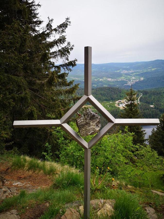 Idyllisch Gelegene Ferienwohnung Im Herzen Des Bayerischen Waldes Zachenberg Buitenkant foto