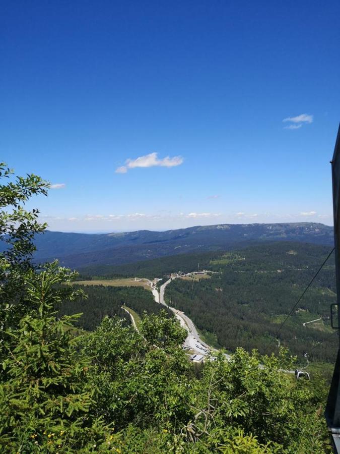 Idyllisch Gelegene Ferienwohnung Im Herzen Des Bayerischen Waldes Zachenberg Buitenkant foto